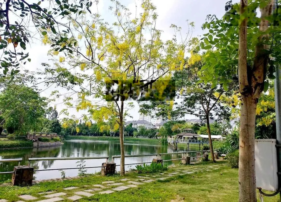 Bán biệt thự view hồ KĐT Xuân Phương: Diện tích 180m2, MT 11m, 4tầng, KD tốt, gía 31tỷ