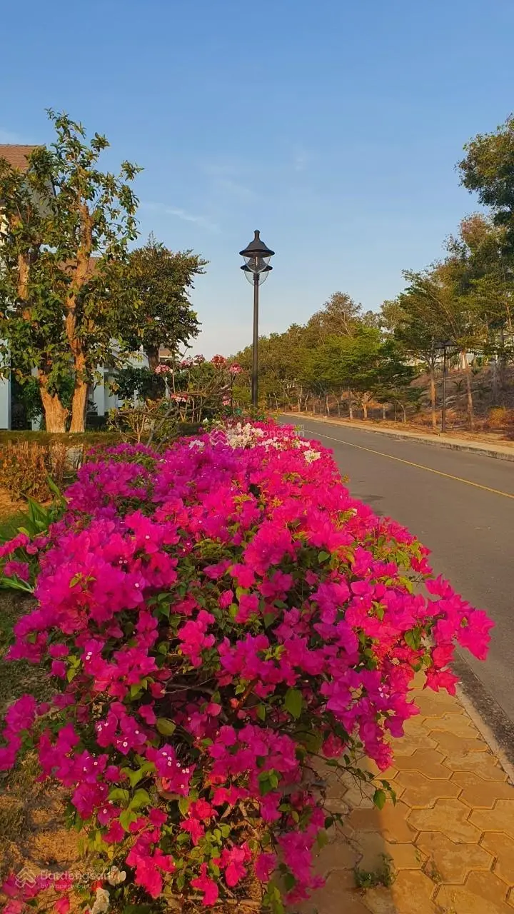 Chính chủ bán biệt thự Sealink Mũi Né, Phan Thiết 400m2 view biển đẹp giá 13 tỷ