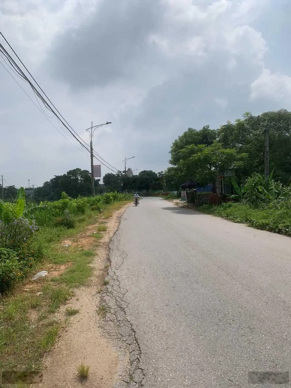 Bán đất mặt đường đê xã Thanh Minh, Phú Thọ. Diện tích 160m2, giá 1,76 tỷ