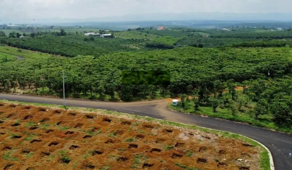 Bán đất Lộc Quảng, Bảo Lâm thổ cư giá rẻ, sổ hồng công chứng ngay trong ngày