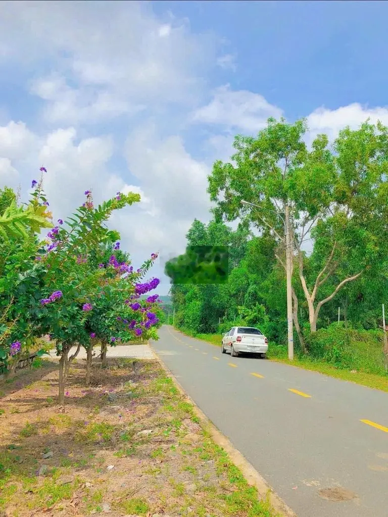 BÁN 1140M2 LONG MỸ PHƯỚC HẢI ,VIEW NÚI MINH ĐẠM GIÁ 3,2 TỶ TL