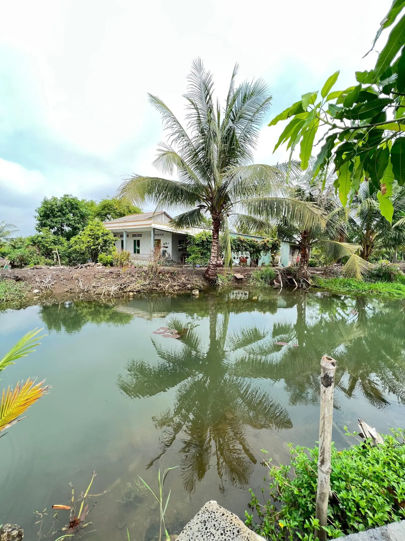 Gần 500m2 đất vườn Thạnh Đức Bến Lức Long An. Gần khu du lịch Happy Land xe ô tô tận nơi