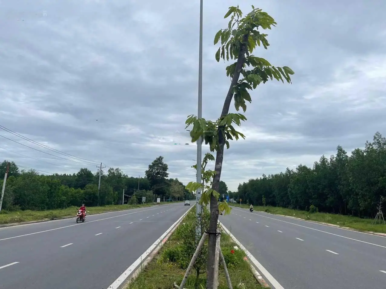 Mặt tiền Nguyễn Hữu Cảnh, Huyện Nhơn Trạch, Đồng Nai, ngang 50mx100m, CN: 4500m2, 7tr/m2