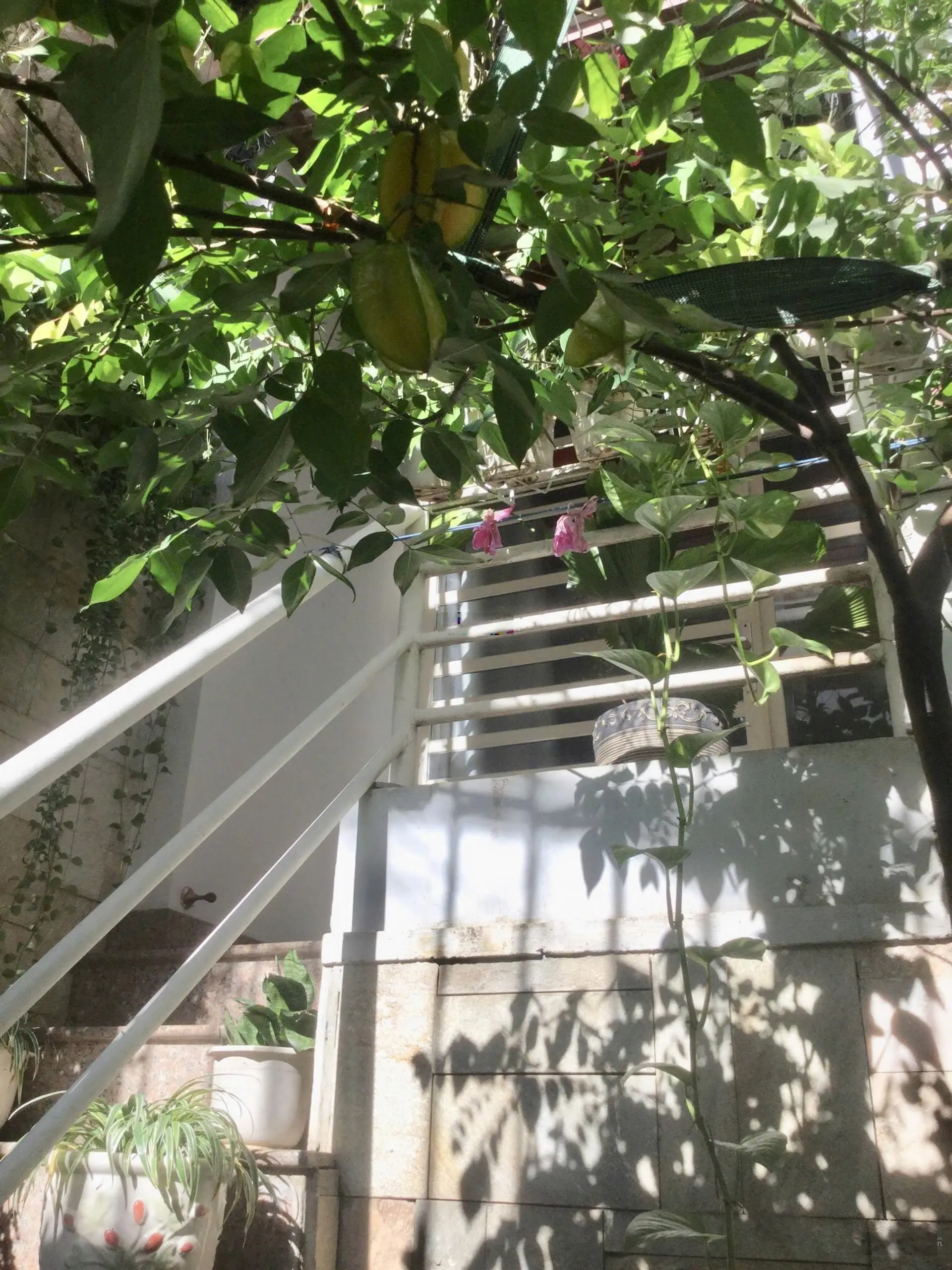 Bán nhà riêng siêu đẹp đường Cù Lao thông đường Hoa Lan, PHƯỜNG 2, Phú Nhuận. SHR