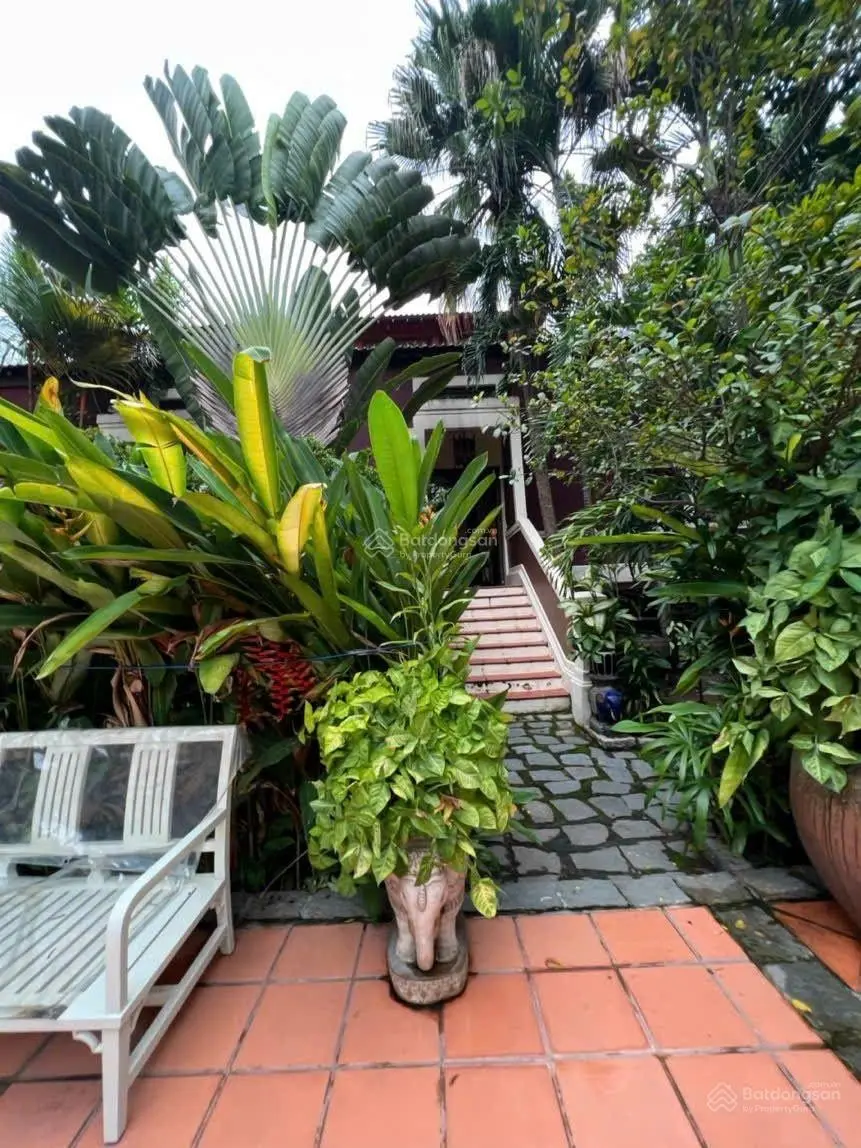 Khu Sinh Thái hơn 4 nghìn m2Với 3 căn Biệt Thự Nguyễn Thị Phố