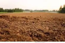 Gấp! Cần bán gấp lô đất vàng Hòa Long, vị trí đắc địa, gần Giếng Ngọc, nhà hát, làn 2 Vua Bà
