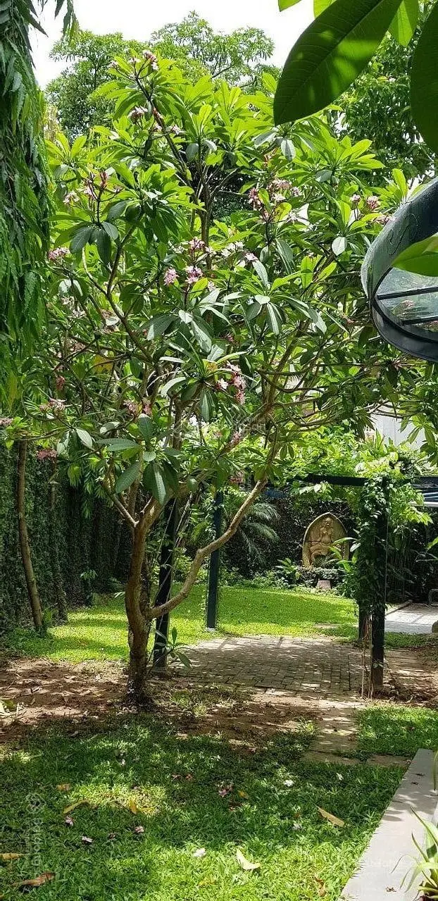 Bán căn biệt thự nhà vườn. 1400m2 full thổ cư