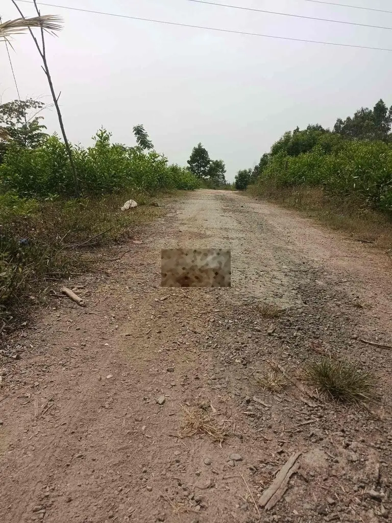 8000m2 ngã 4 tuý loan vào 300m đường xe tải lớn 7m
