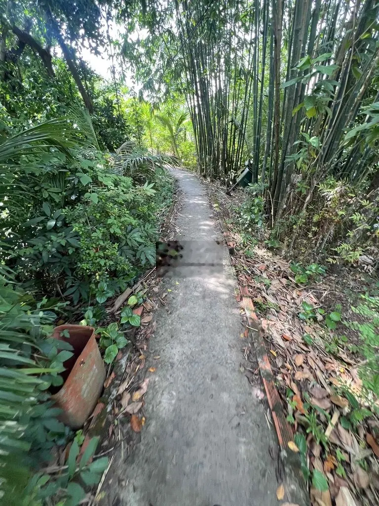 Nền Long Hoà - Bình Thuỷ