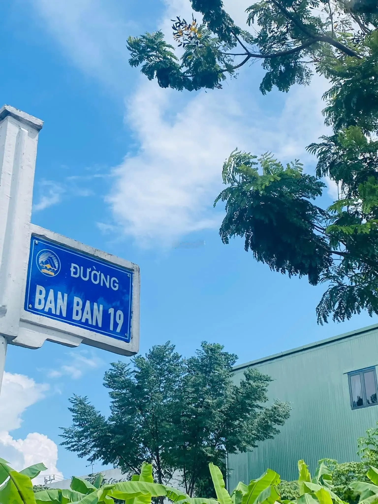 Chào bán đg 5m5 khu dân cư Bá Tùng, gần sông, gần công viên giá chỉ 2ty3xx