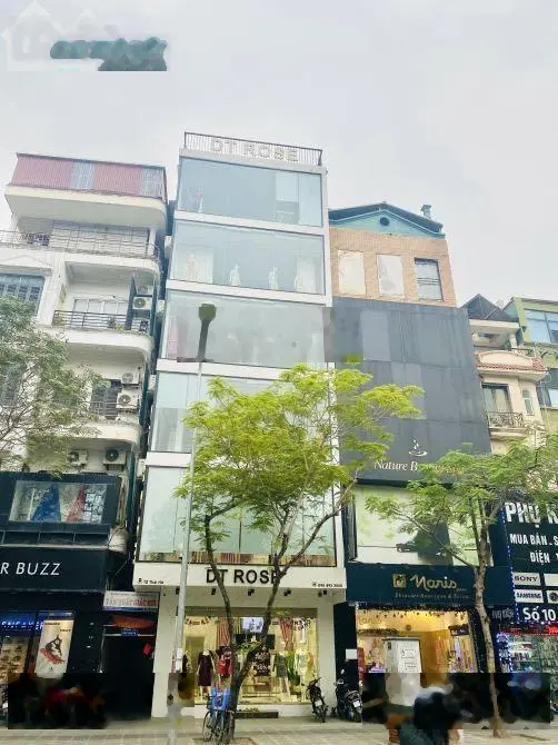 Bán mặt phố víp Hoàng Cầu - Đống Đa, ô tô vào nhà, hiếm nhà 120m2/7T 6m MT, nhỉnh 30tỷ