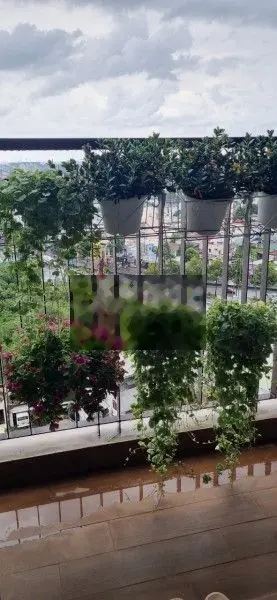 OPAL BOULEVARD CÓ SÔ 2PN 2,4 TỶ GIÁ ĐANG TỐT MUA NGAY CHIT BÊN EM CÓ