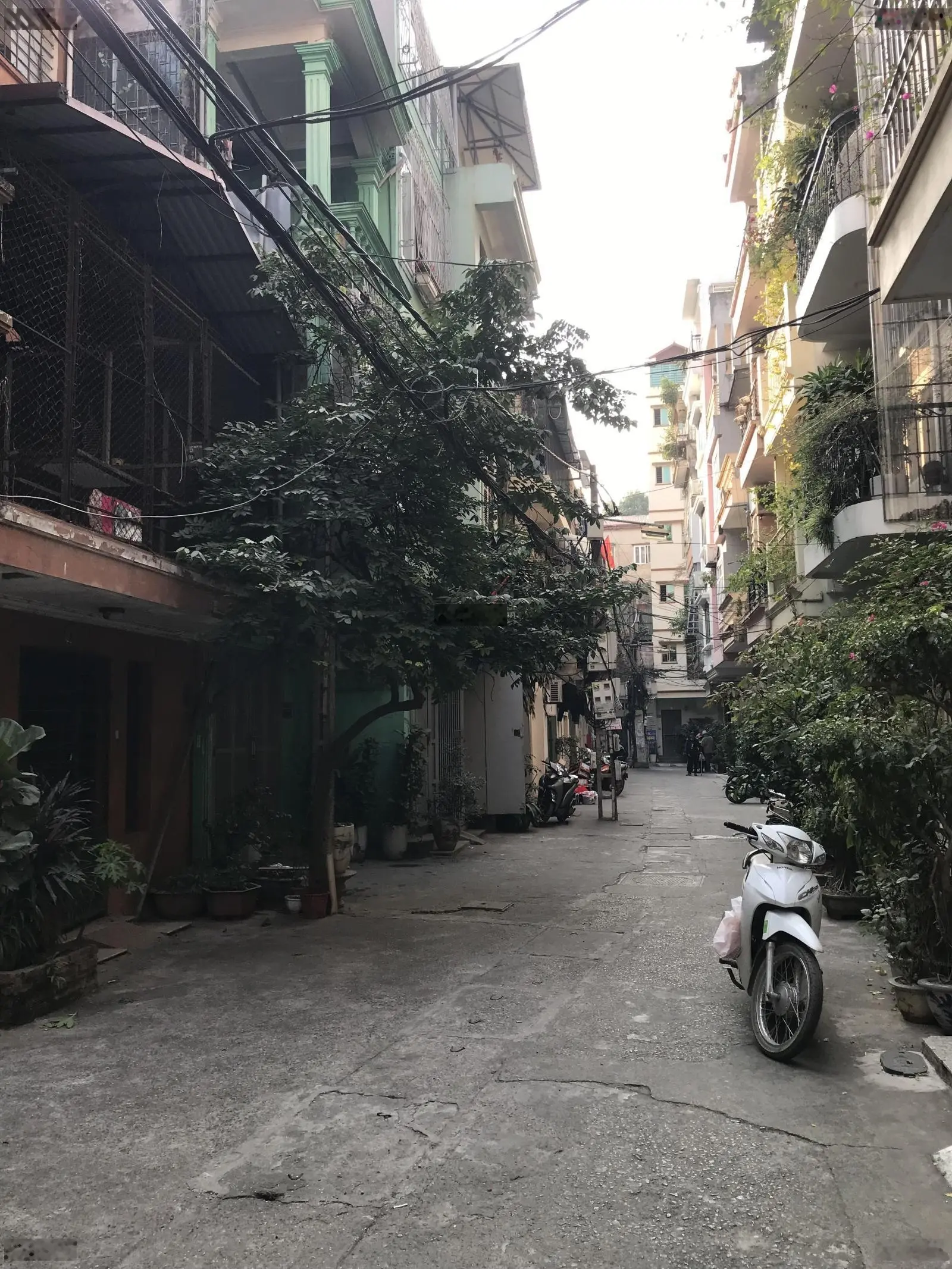 Víp-chỉ 36tỷ hơn - bán nhà mặt phố Nghĩa Tân, Cầu Giấy - 2mặt tiền ôtô-vỉa hè - 78m - mặt tiền rộng