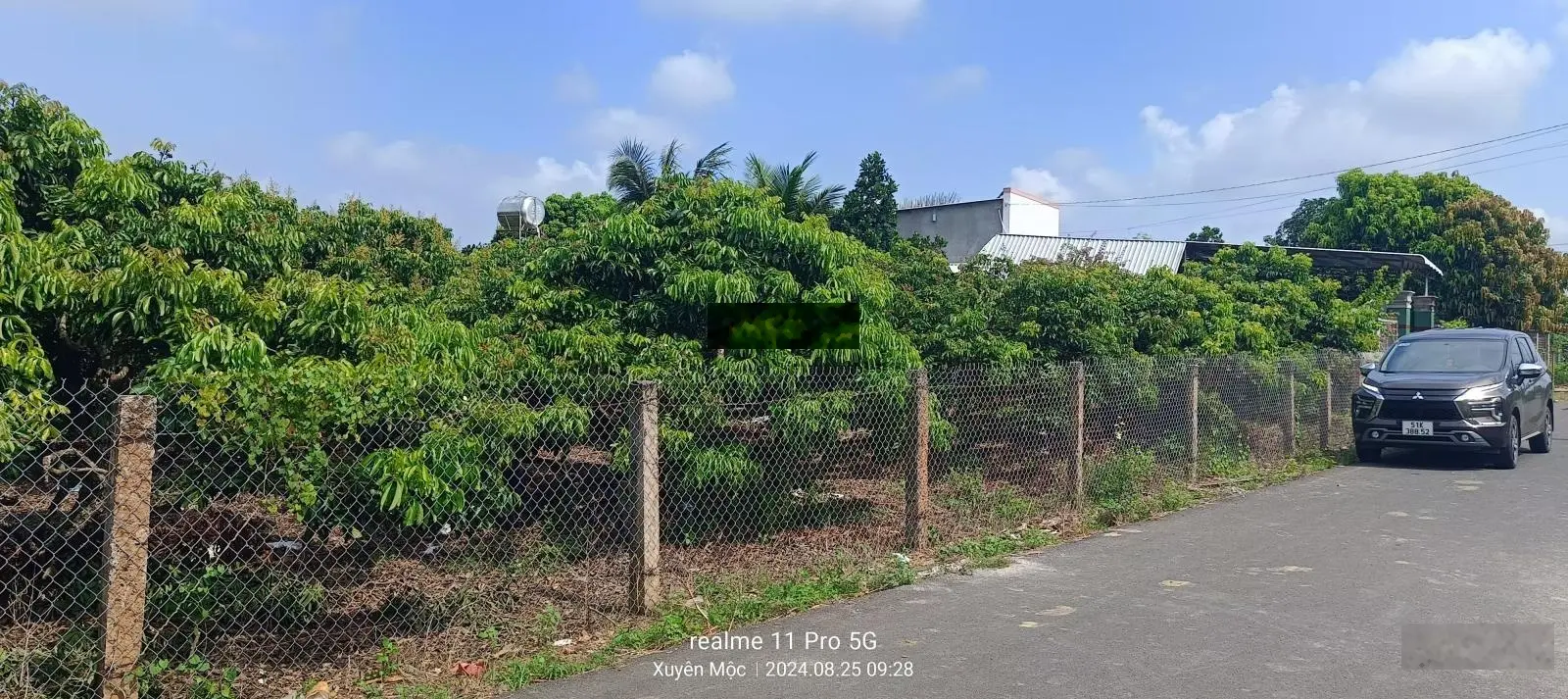 Nguyên vườn nhãn đang có trái DT: 10x50m, đường nhựa khu dân cư