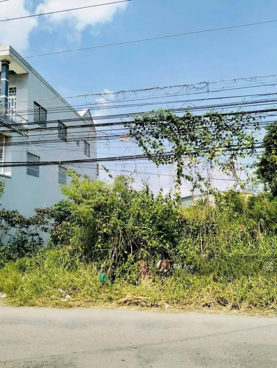 Bán đất đẹp MTĐ Hoà Bình,Phường 1, Bạc Liêu.DT: 500triệu/130m2,Thổ Cư 100% Đối diện THPT Bạc Liêu
