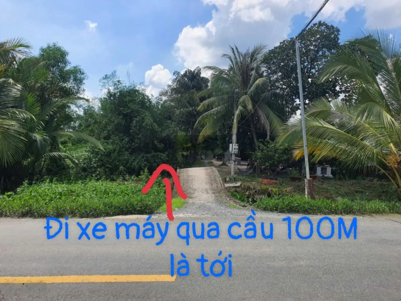Đất Vườn Xã Thạnh Hòa Bến Lức Cách ĐT816 Chỉ 200m ( 10 71 = 710m)