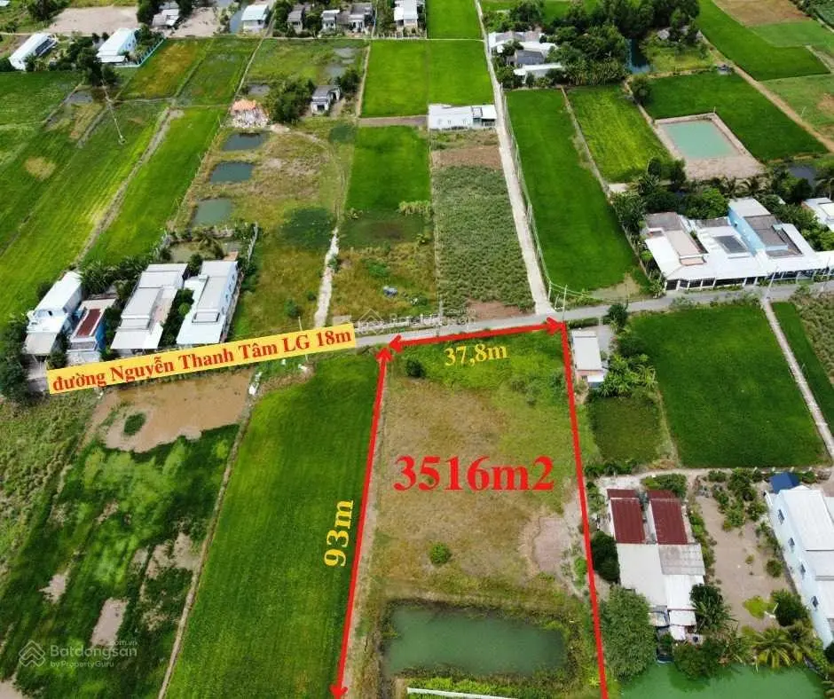 Cần bán 3516m2 đất thị trấn Cần Giuộc, mặt tiền đường nhựa, cách quốc lộ 50 chỉ 700m