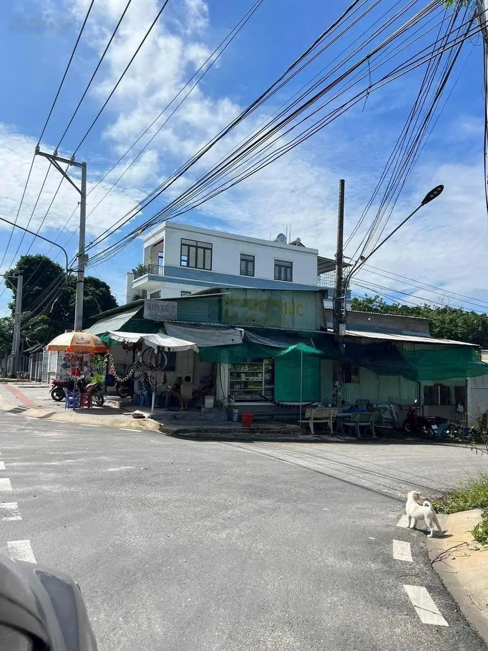 Đất thị trấn Bàu Sen, Dầu Tiếng chủ ngộp quá rẻ cho miếng đất đẹp