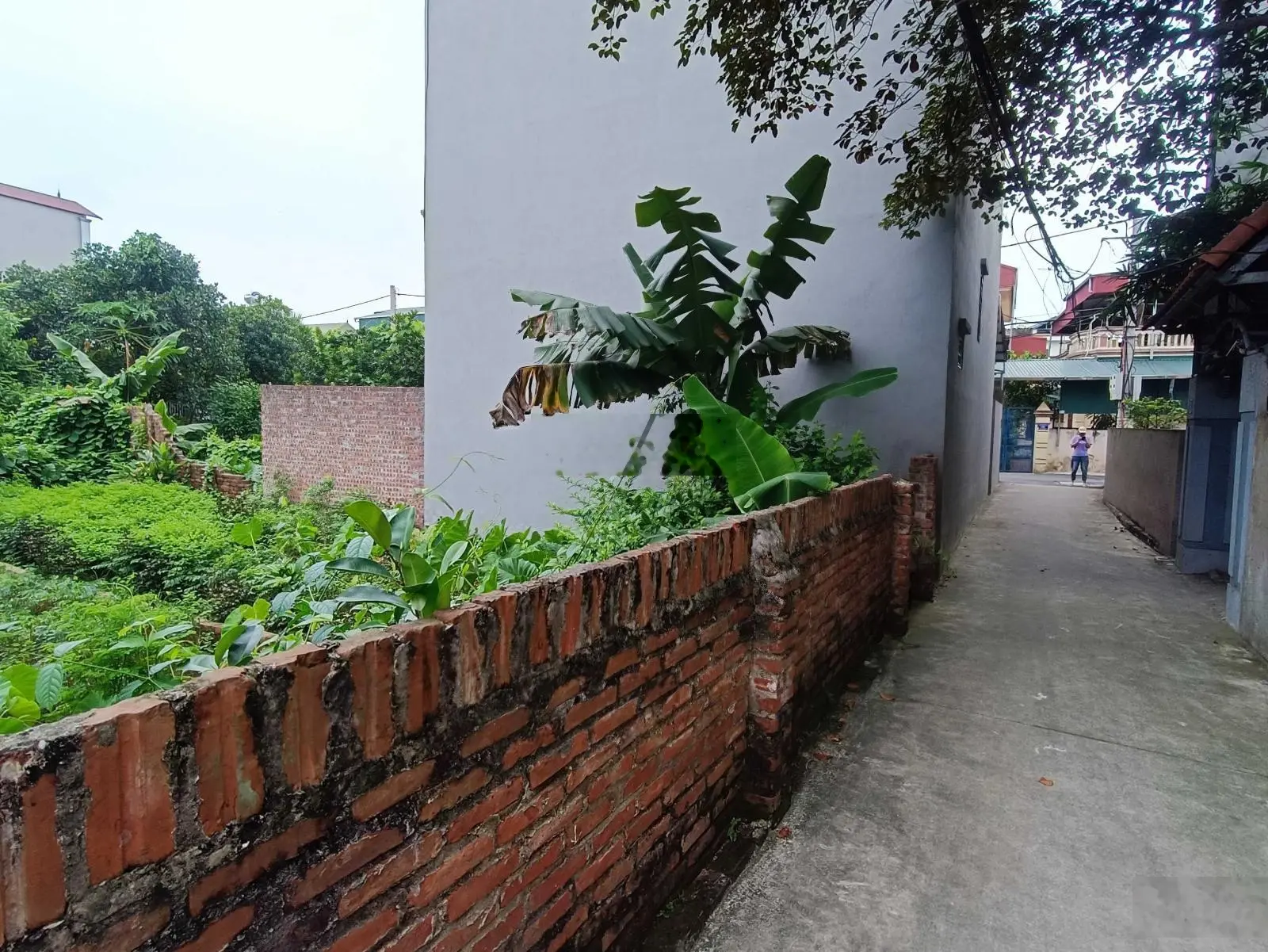 Bán đất tại Kim Sơn, Gia Lâm. Diện tích 50m2