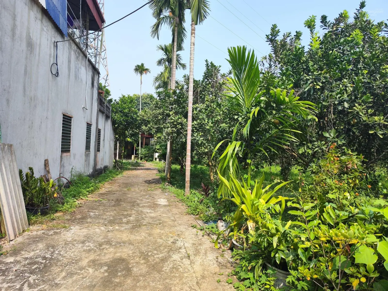Chỉ hơn 1 trieu/m đất tại Yên Mông, TP Hoà Bình 3938m2 cách đường TL 317C chỉ 100m, đường rộng 6m