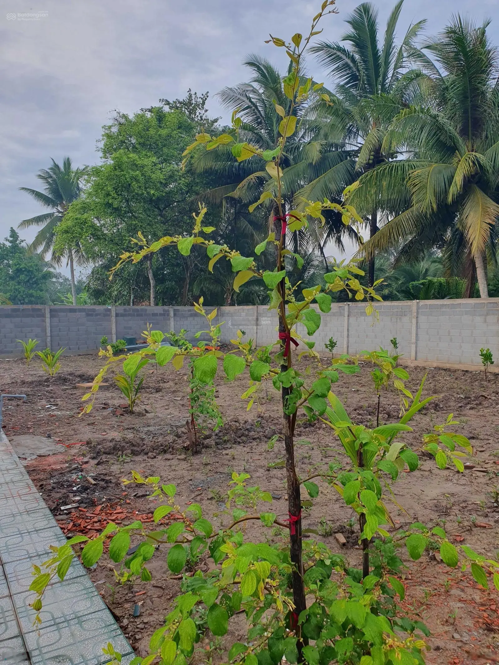 Tiền Giang, cần bán thửa đất tuyệt đẹp tặng 1 chuyến du lịch Hàn Quốc cùng chính chủ