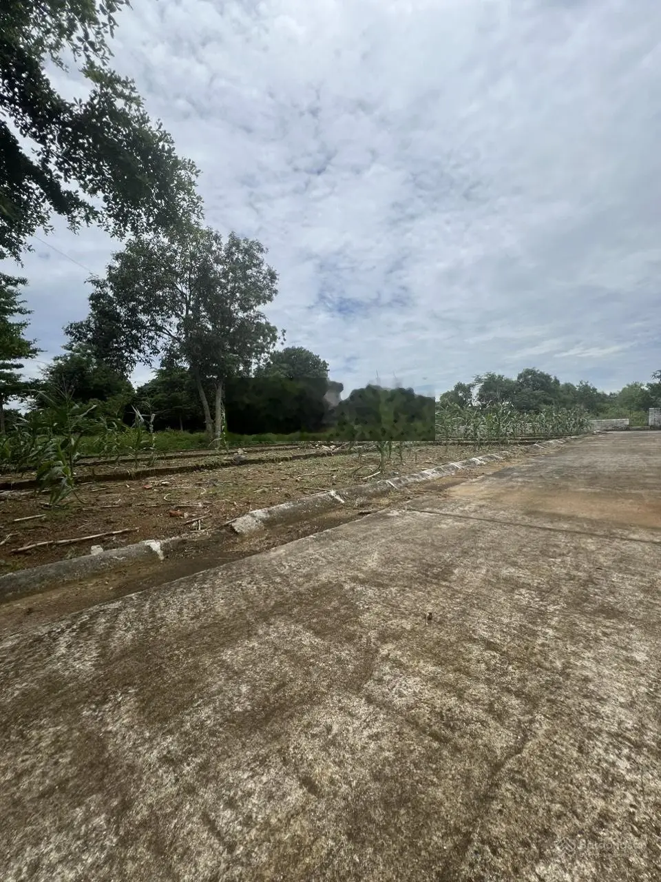 Chính chủ bán đất phân lô trục chính đường 8m thôn Đồi Sen
