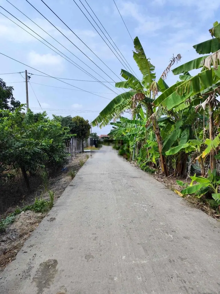 Đất nền full thổ cư Bình Cang 2