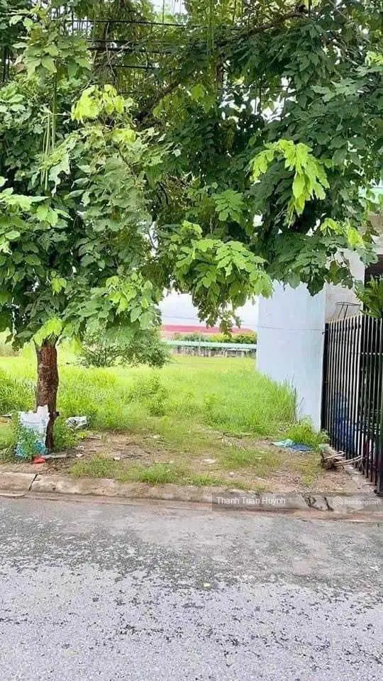 Bán đất mặt tiền Đ. Cầu Vòng, Phường 5 gần Bệnh Viện Đại Học Trà Vinh 120m2 giá chỉ 450tr .SHR