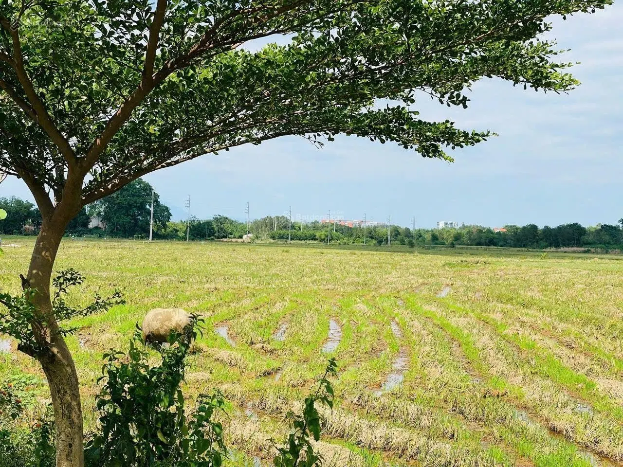 Cần bán lô đất nghỉ dưỡng resort tại Đông Xuân sổ hồng mặt tiền rộng rất phù hợp đầu tư nghỉ dưỡng