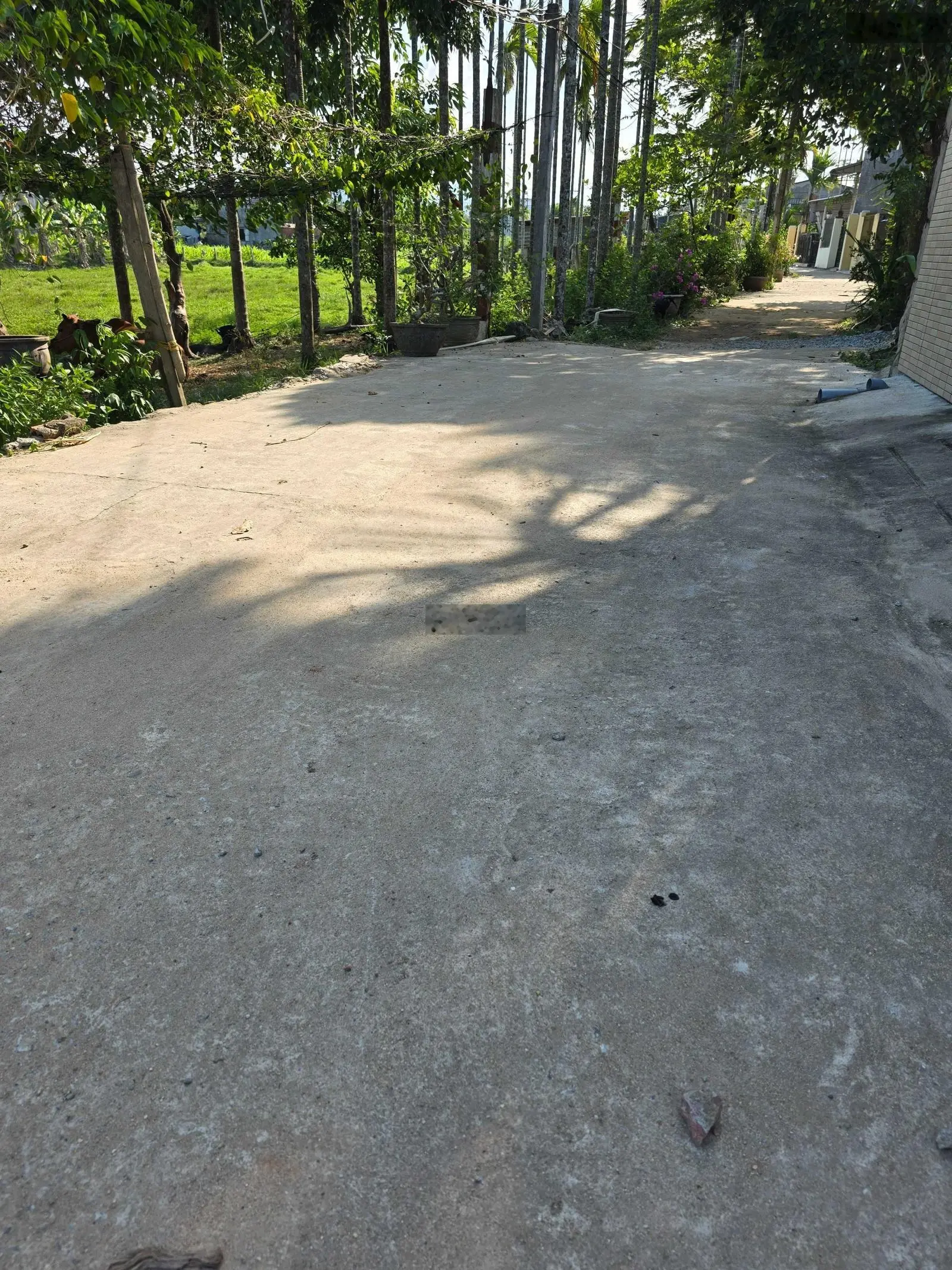 Bán đất hẻm oto 4m Trường Chinh