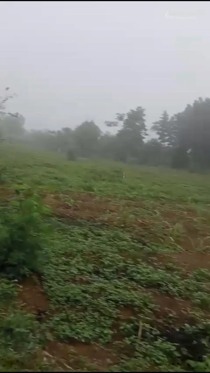 Cần bán 9000 m2 đất ở 400m2 Thung Mường, Kim Bôi, Hoà Bình