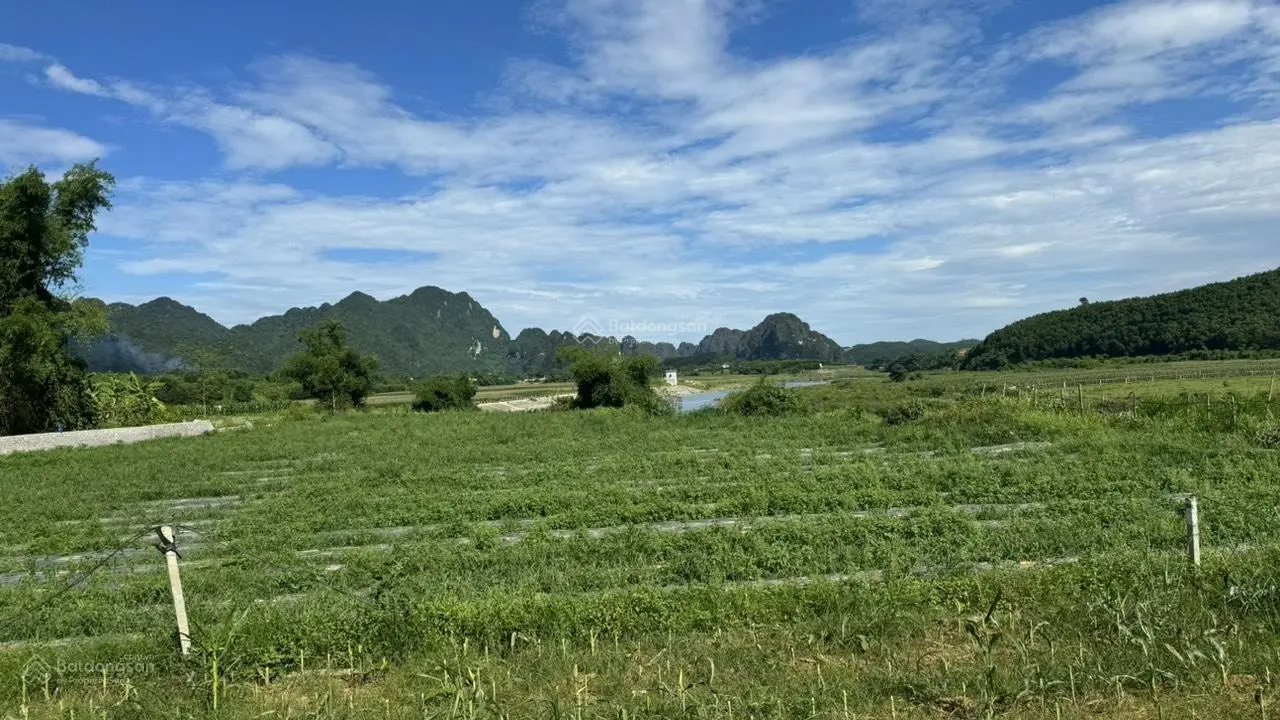 Siêu phẩm 3.750m2 bám Sông Bôi - Kim Bôi - Hòa Bình