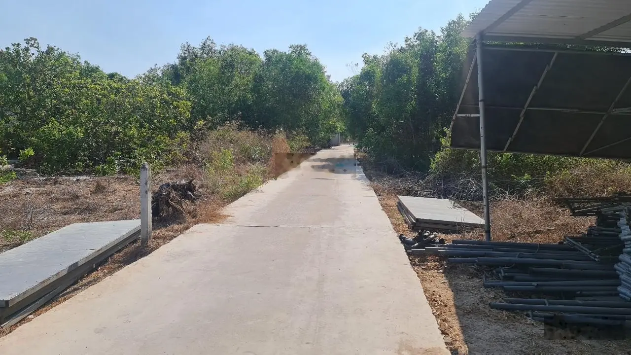 Bán gấp 10x30m lô 2 Ngô Tất Tố, Tân Phước, TX LaGi. Gần biển, giá rẻ