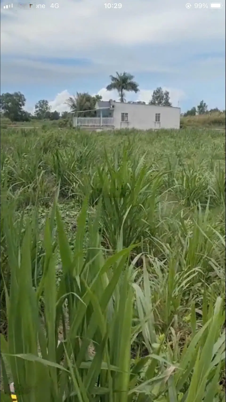 Bán đất Khóm 6, phường 9, Thành phố Trà Vinh, tỉnh Trà Vinh. DT: 48m x 42m, nở hậu 64m. Giá 8 tỷ