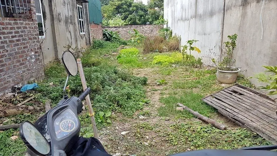 Bán đất Mai Nội - lô góc - ô tô tải tránh - 78m