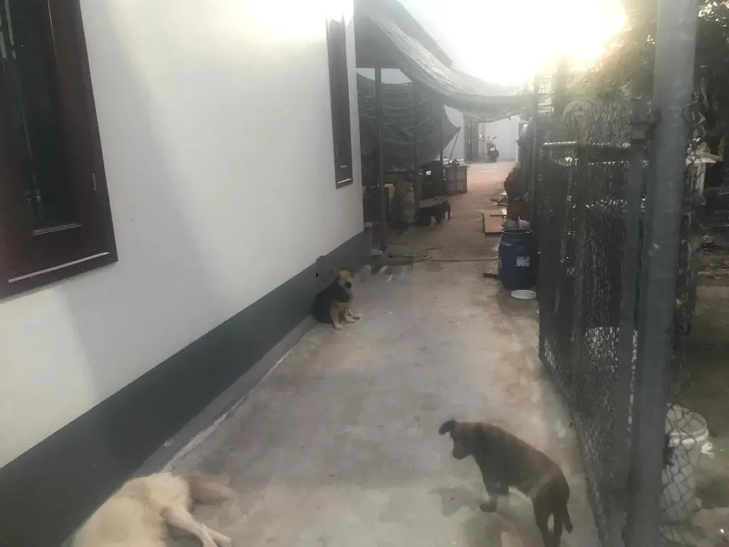 bán đất thổ cư giáp tdc cánh mẹn tiền phong tp thái bình