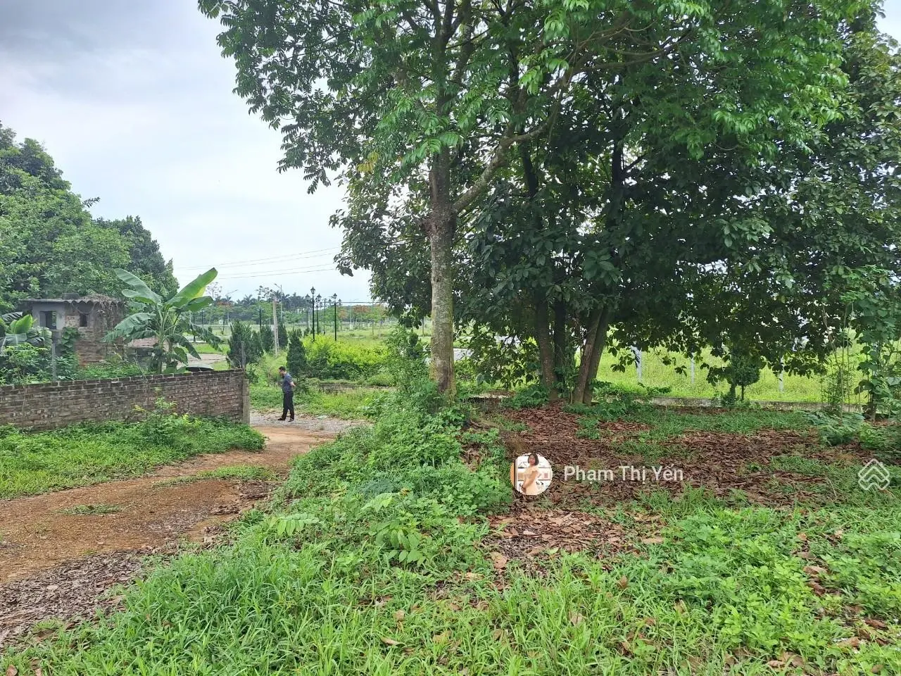Siêu phẩm! 688m2, đối diện Dự Án Phương Đông Lương Sơn, giá chỉ bằng 1/3 giá dự án xung quanh