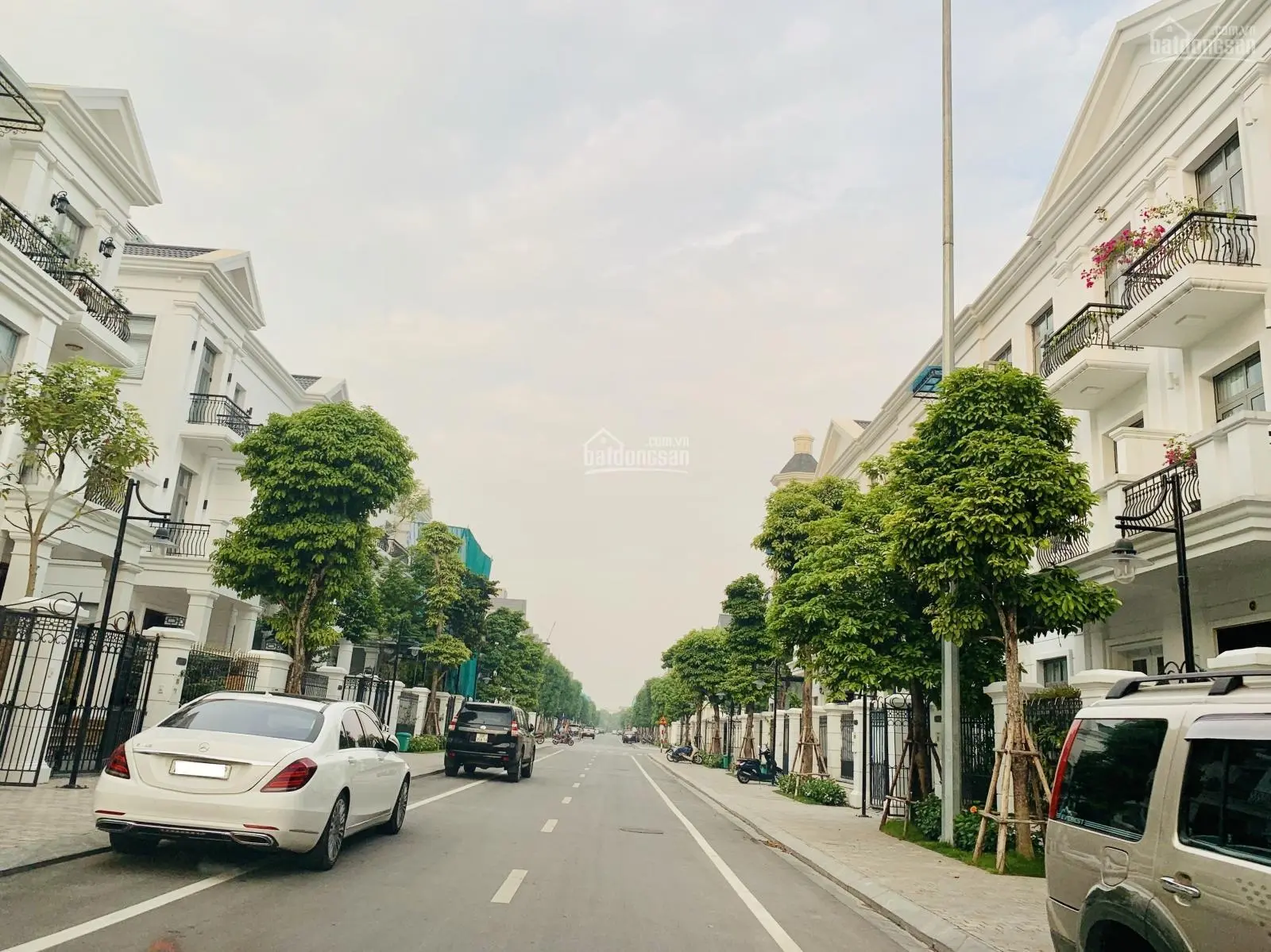 Tổng hợp quỹ chuyển nhượng song lập Nguyệt Quế, Tulip tại Vinhomes The Harmony, LH: 0936298166