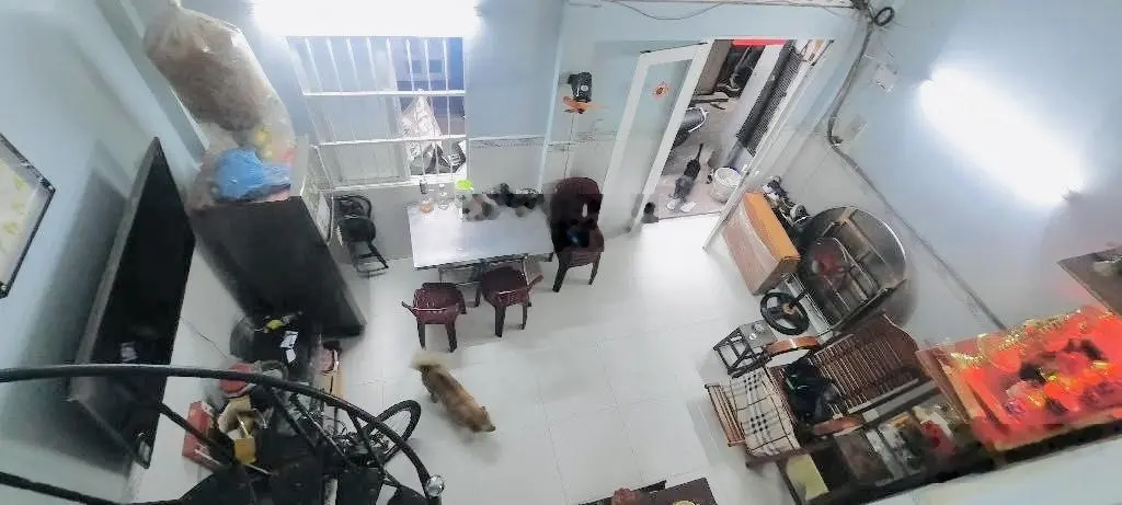 Nhà ngang 5m, ko lg qh - lý thái tổ - 33m2, 3tầng - nhỉnh 4tỷ