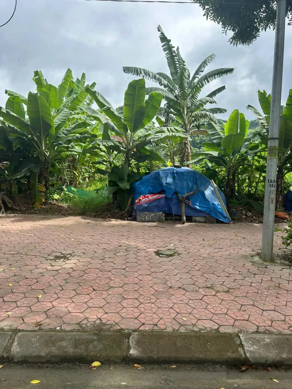 Bán nhanh lô đất rẻ nhất đường Võ Nguyên Giáp B9, 100m2, giá nhỉnh 2 tỷ