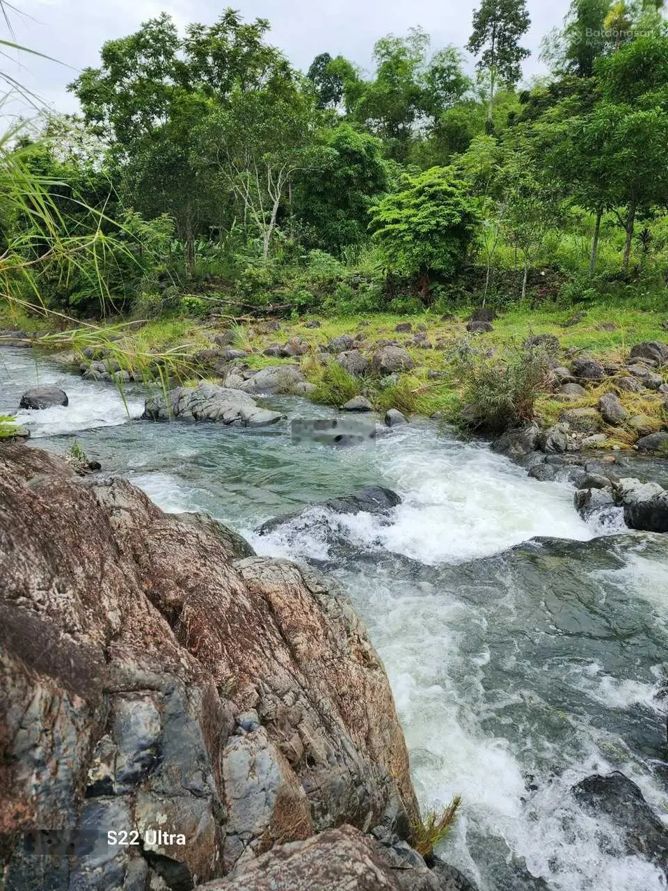 Cần bán tại Kim Bôi, Hòa Bình. Diện tích 5200m2, giá thương lượng