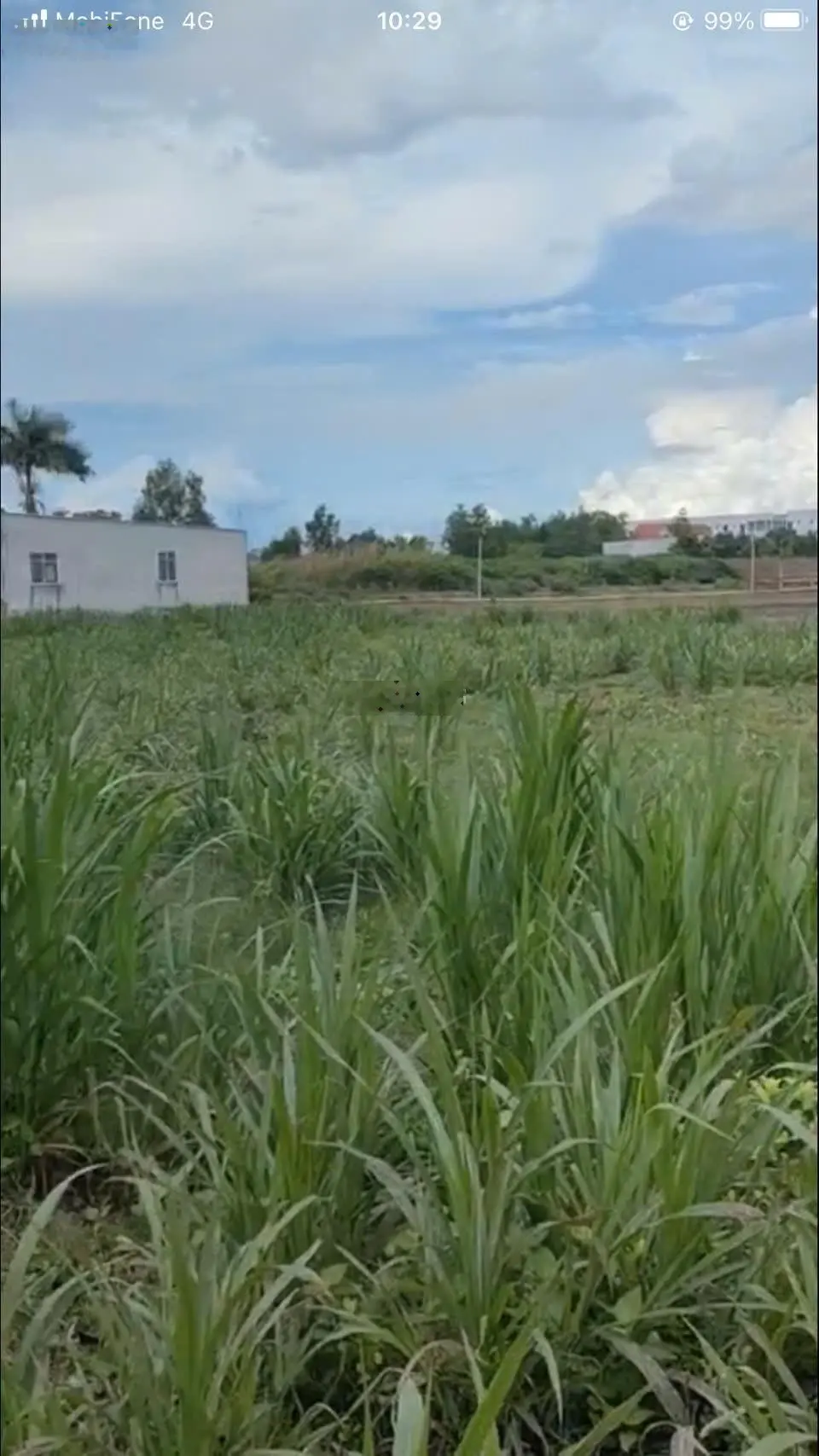 Bán đất Khóm 6, phường 9, Thành phố Trà Vinh, tỉnh Trà Vinh. DT: 48m x 42m, nở hậu 64m. Giá 8 tỷ