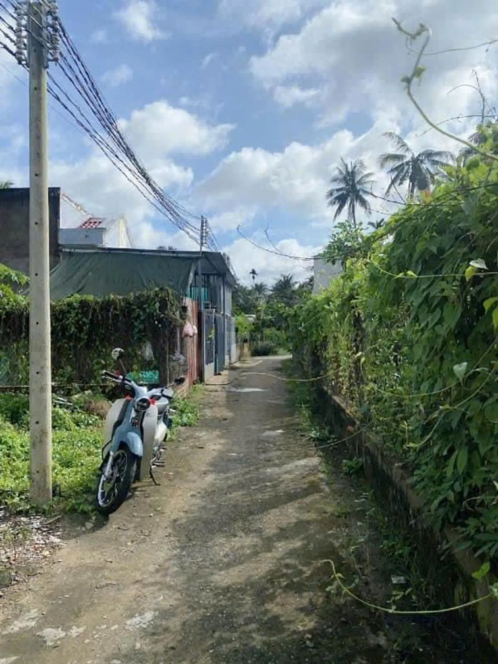 Bán nền biệt thự 273m2 tại phường 7, TP Bến Tre, tỉnh Bến Tre