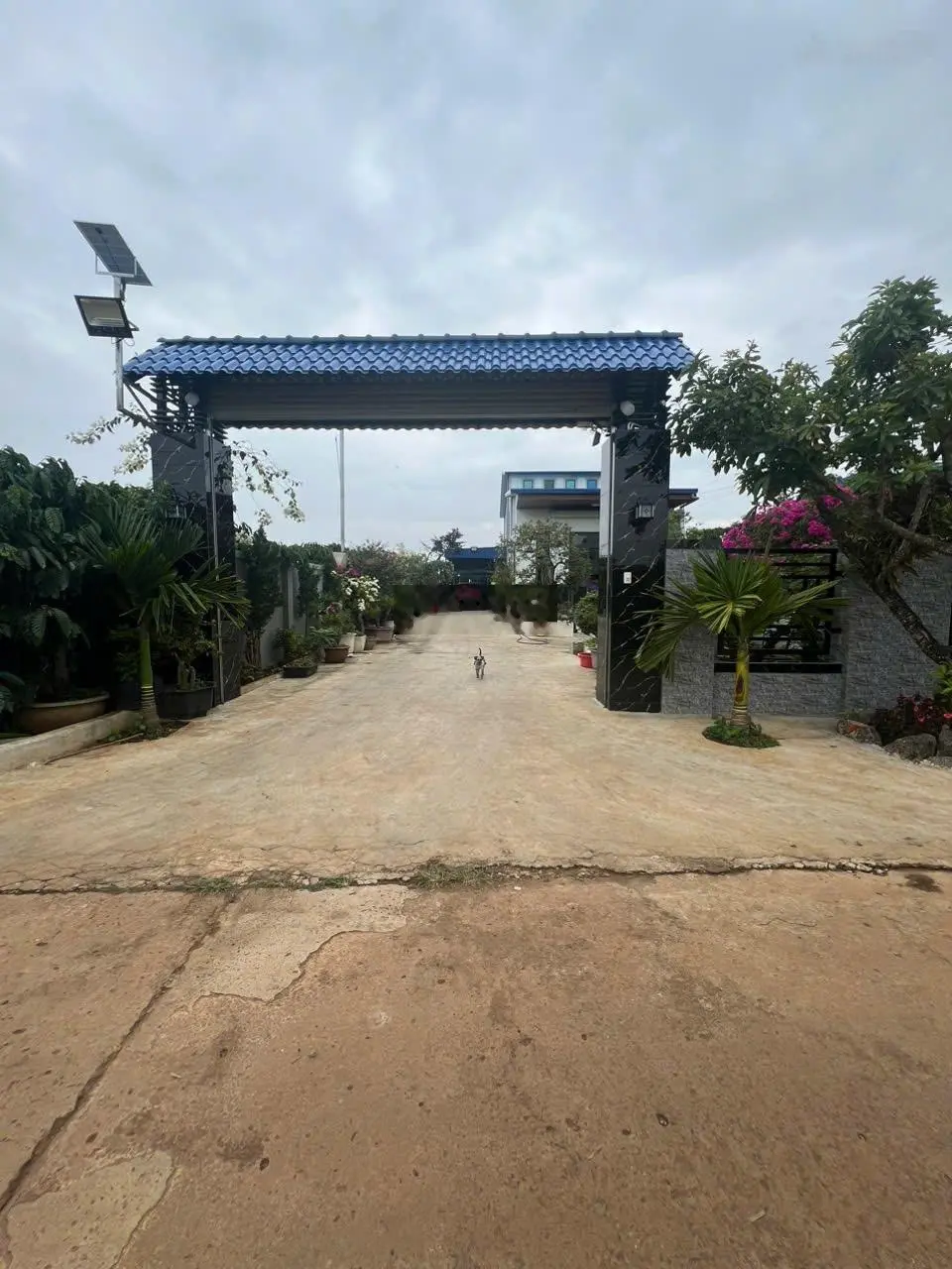 Bán căn nhà nghỉ dưỡng sân vườn 995m2 đầy đủ tiện nghi về sân bay Liên Khương chỉ 9km, chỉ 3,7 tỉ