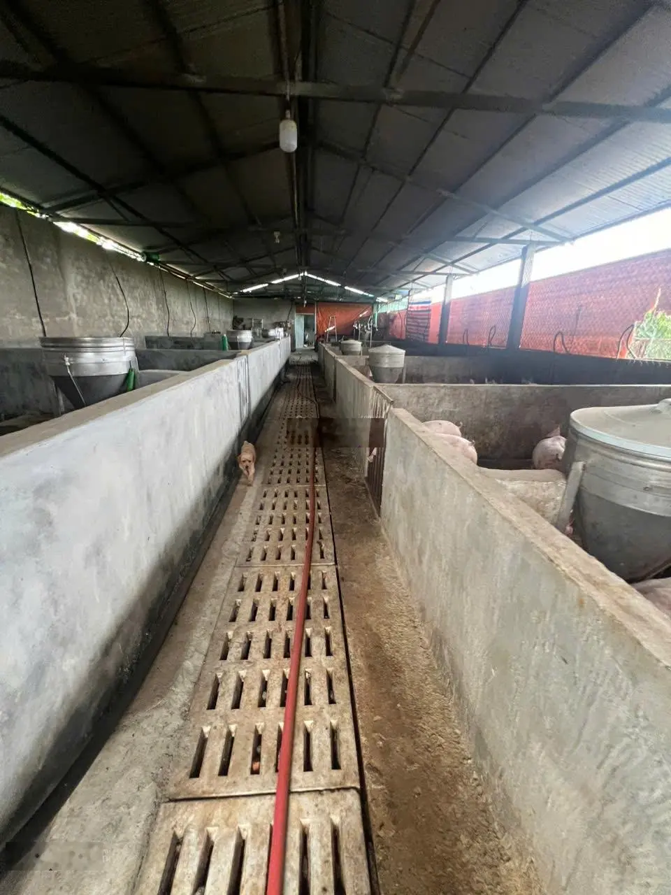 Bán căn nhà nghỉ dưỡng sân vườn 995m2 đầy đủ tiện nghi về sân bay Liên Khương chỉ 9km, chỉ 3,7 tỉ