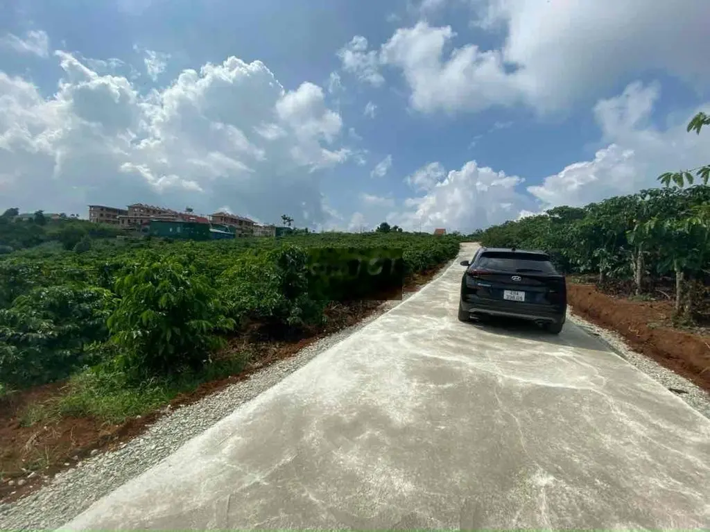 Lô đất 1100m2 ngang 16m kế bên công an Huyện Di Linh