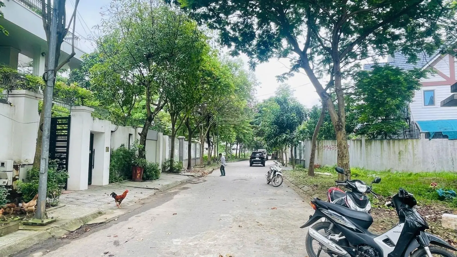 Chính chủ bán căn biệt thự 297 m2 thiết kế hiện đại, sổ đỏ sang tên chính chủ. Vay ngân hàng 70%