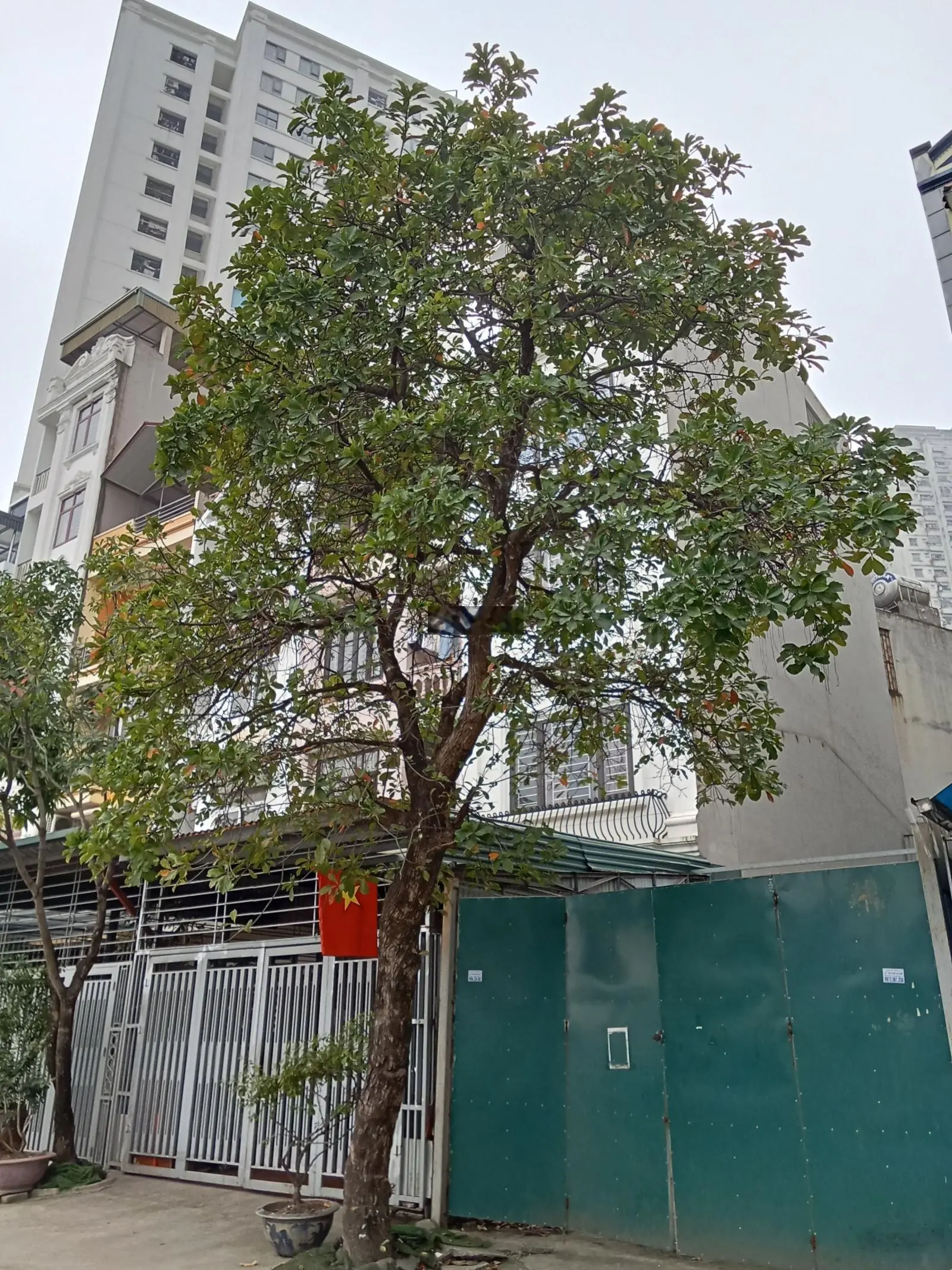 Hoa Hậu Vạn Phúc, Hà Đông, 48 m, 4 tầng giá 9.3 tỷ, Kinh doanh ôtô đỗ cửa.
