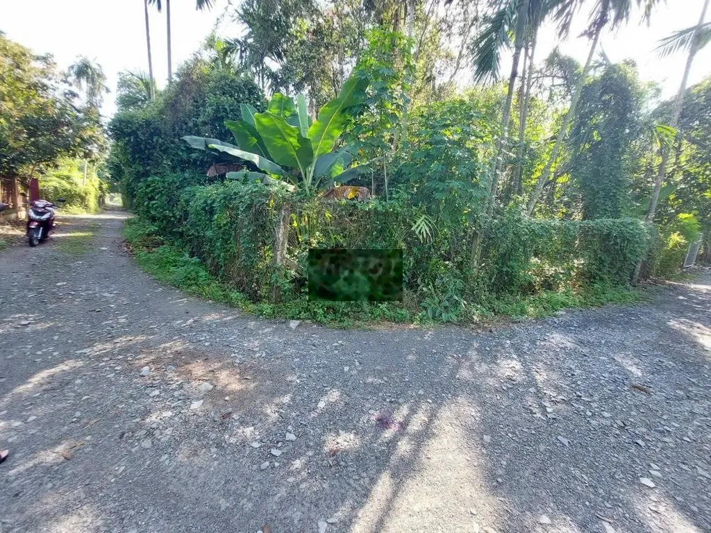 Vườn Măng Bình Nhâm 19*44