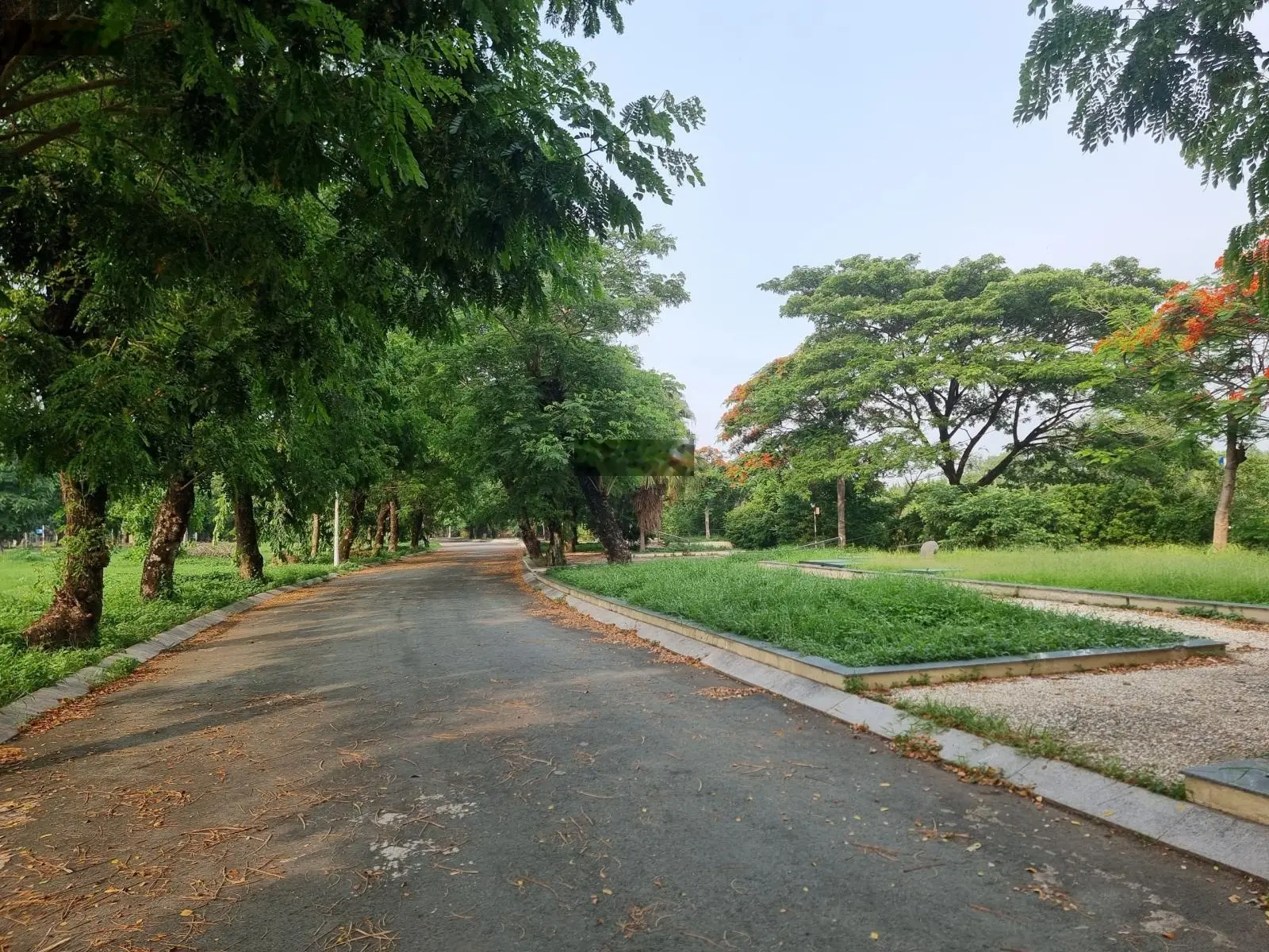 Đất lô góc 6x24m vạt góc 131m mặt tiền đường Tam Đa 30m tại BCR Tam Đa, Trường Thạnh Q9 giá 55tr/m2